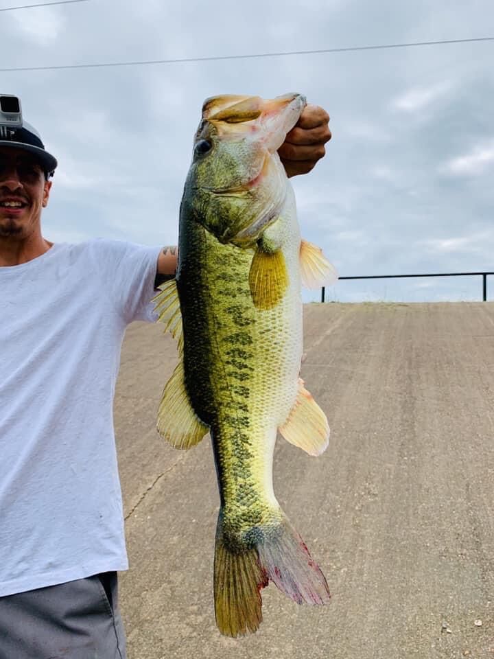 Lip'N Bass